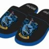 Harry Potter - Ravenclaw Slippers (Size M/L) 1 Harry Potter - Ravenclaw Slippers (Size M/L) -EFANTASY εκπτώσεις 122142 0 0500 harry potter ravenclaw slippers size m l