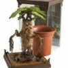 Noble Collection Φιγούρα Harry Potter: Magical Creatures - Mandrake Statue (13cm) -EFANTASY εκπτώσεις 141395 0 0500 figoura harry potter magical creatures mandrake statue 13cm