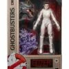 Hasbro Φιγούρα Ghostbusters: Plasma Series - Gozer Action Figure (15cm) 1 Hasbro Φιγούρα Ghostbusters: Plasma Series - Gozer Action Figure (15cm) -EFANTASY εκπτώσεις 162619 0 0500 figoura ghostbusters plasma series gozer action figure 15cm