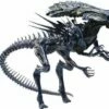 Alien Vs Predator - Alien Queen (Battle Damaged) Φιγούρα Αγαλματίδιο (18cm) 1 Alien Vs Predator - Alien Queen (Battle Damaged) Φιγούρα Αγαλματίδιο (18cm) -EFANTASY εκπτώσεις 209956 0 0500 alien vs predator alien queen battle damaged figoura agalmatidio 18cm